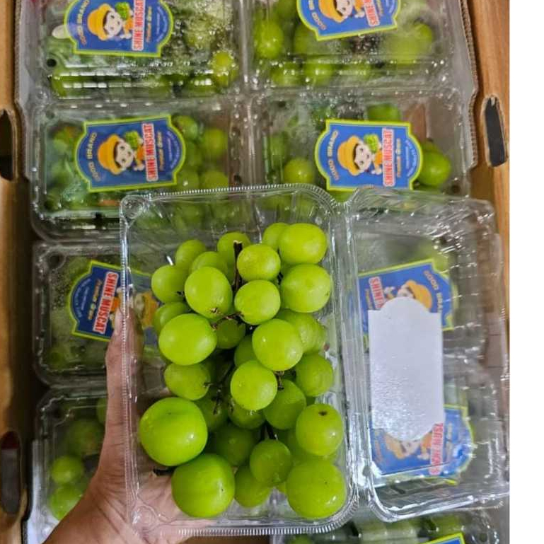

Anggur Shine Muscat Pack 500gr PROMO GILA [ Aeeen_ ]
