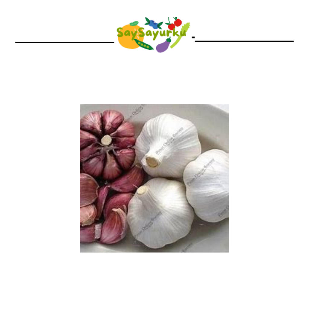 

BAWANG MERAH PUTIH CAMPUR 250 GR