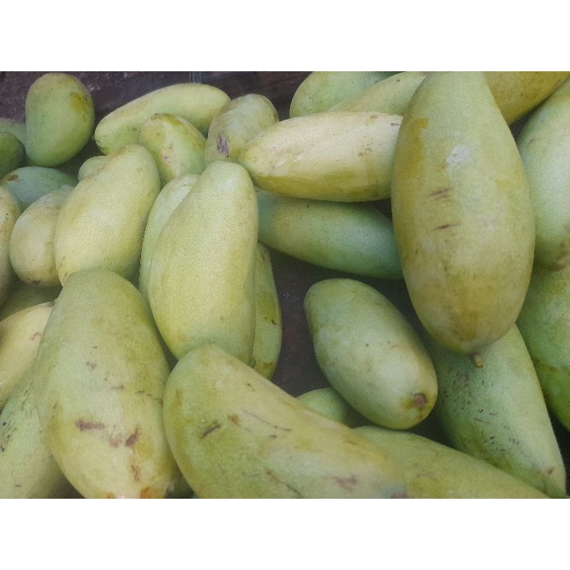 

mangga gole' besar perbiji