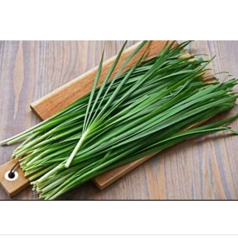 

Sayur Bawang Kucai per Ikat