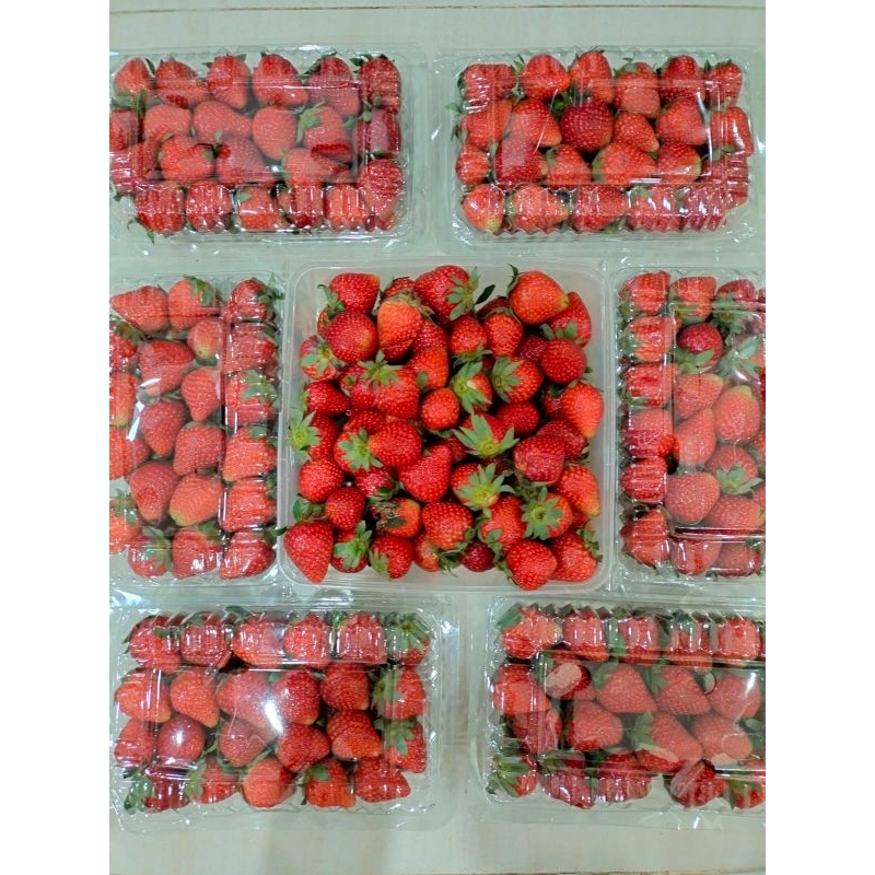 

Fresh Strawberry