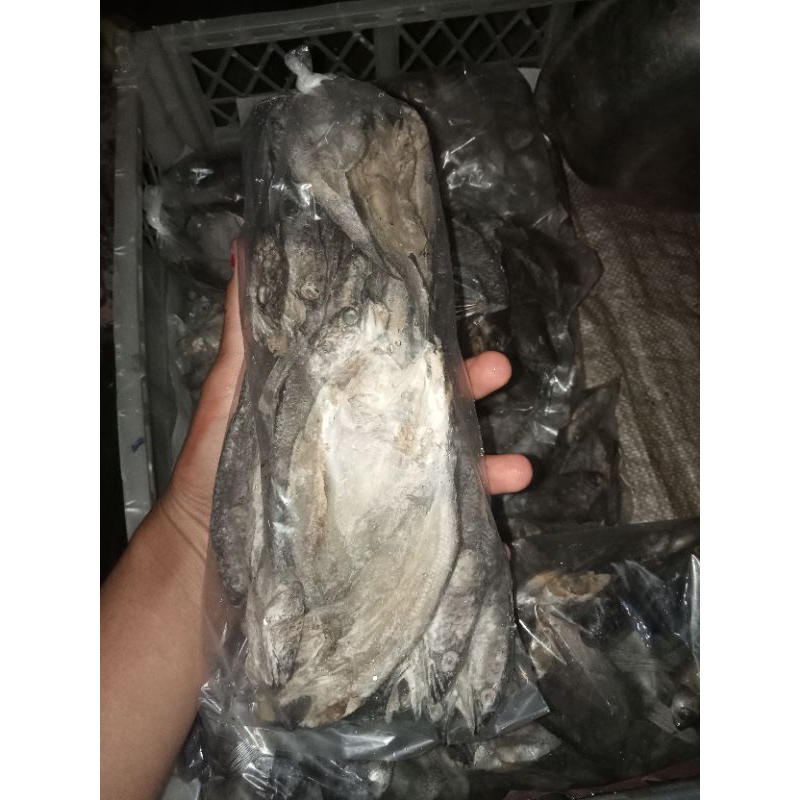 

ikan asin sepat,papuyu,haruan atau gabus