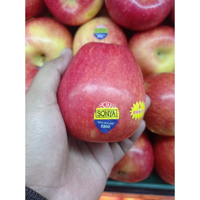 

buah apel ever crispy new zealand jumbo 1 kg