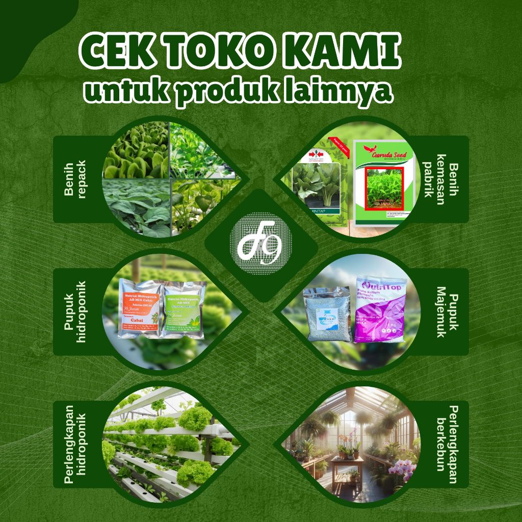 ID PAKET BENIH CABE 5 JENIS BIBIT SAYURAN CABAI MERAH BESAR KERITING RAWIT HIJAU RAWIT PUTIH RAWIT