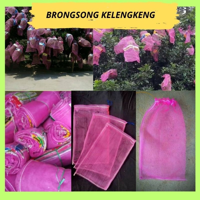 PROMO. Brongsong  Kelengkeng Baru isi 10
