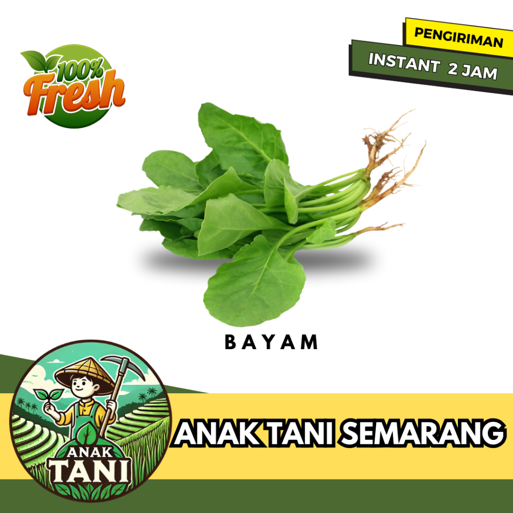 

[ANAK TANI] BAYAM SEGAR PER BUNGKUS SUDAH PIPIL SIAP KIRIM INSTANT AREA SEMARANG
