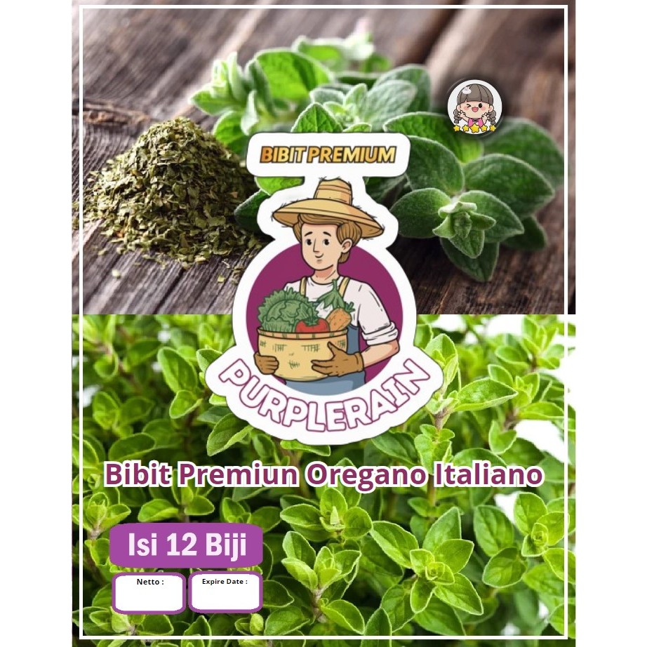 Bibit Premium Oregano Italian | Benih Oregano Italian