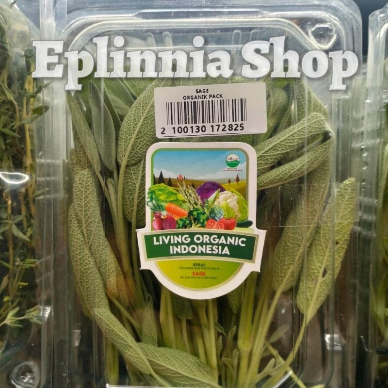 

Daun Sage Organik Fresh Pack