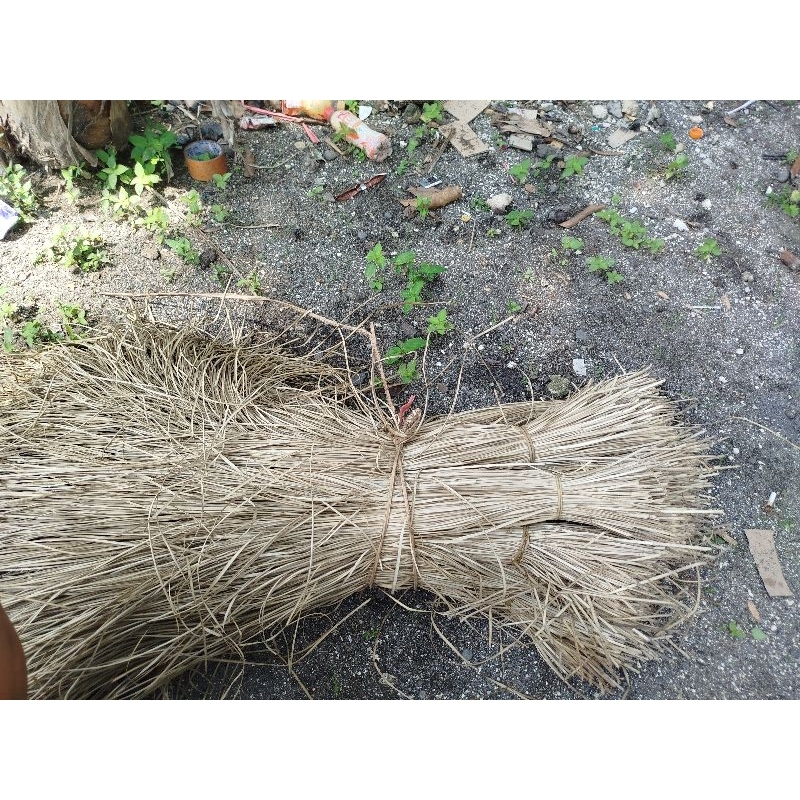 

DAUN PANDAN DURI KERING 1 KG - UNTUK TALI