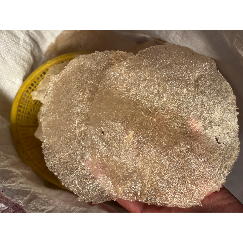 

ketipuk opak jumbo,kerupuk singkong 10pcs