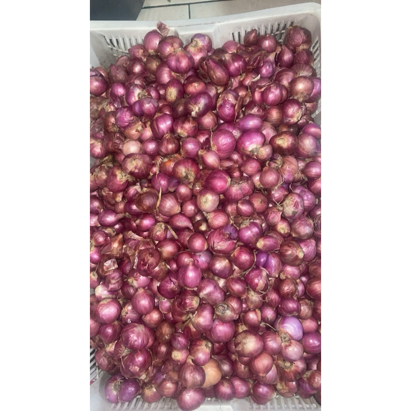 

bawang merah