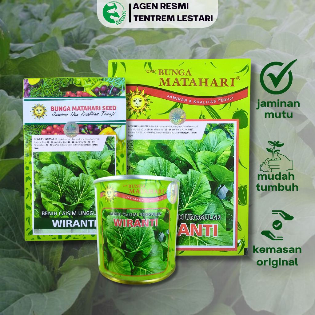 Benih Sawi Caisim WIRANTI 50 gr Cap Bunga Matahari Lebat & Tahan Layu