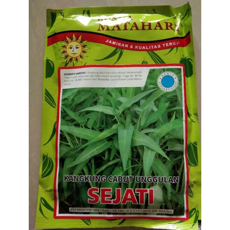 

Kangkung cabut