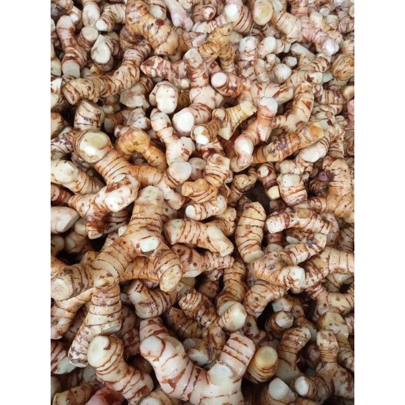

Laos/Lengkuas