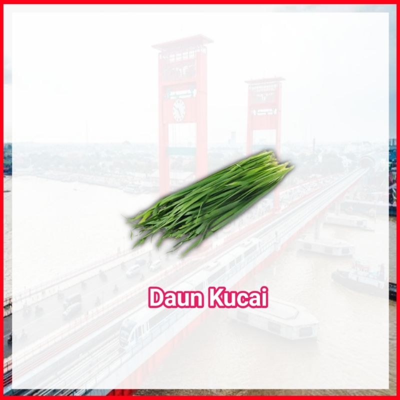 

Daun Kucai Kucay