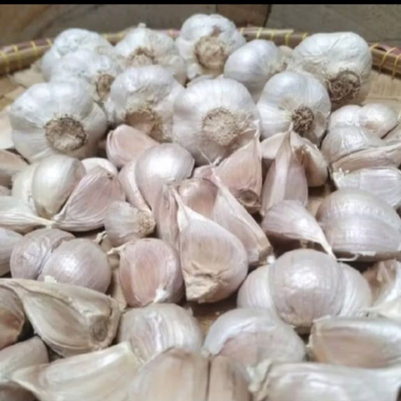 

Bawang Putih Kating Fresh Kualitas Super 1 Kg