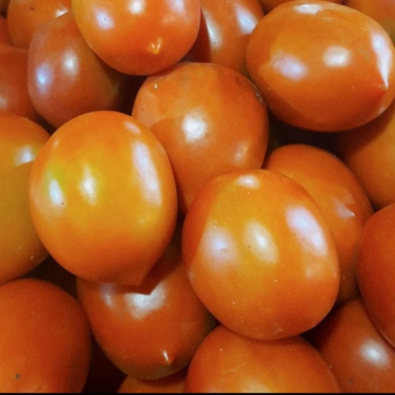 

Tomat Merah Segar 500 gram