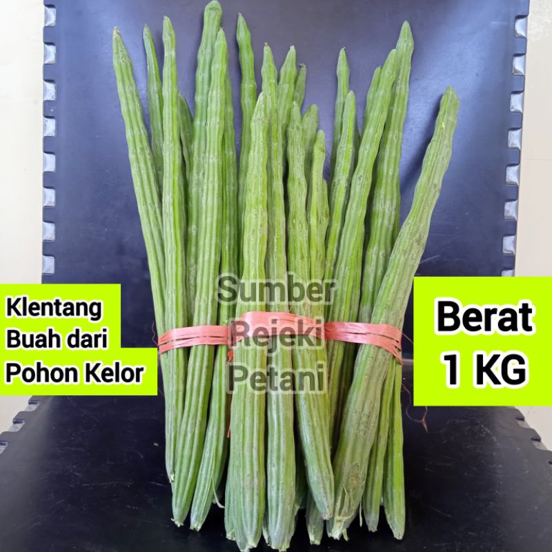 

Sayur Klentang Buah kelentang 1 KG dari Pohon Kelor Moringa Oleifera untuk Sayur Asem