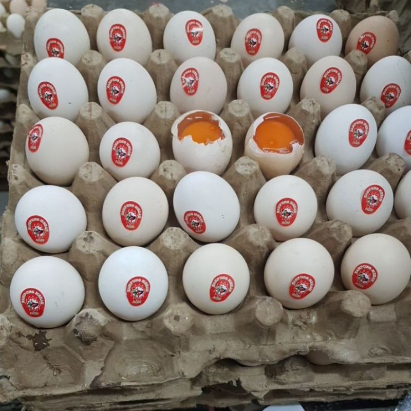 

RB Telur Ayam Kampung Omega/Telur Kampung Omega (Isi 1 Tray = 30 Butir)