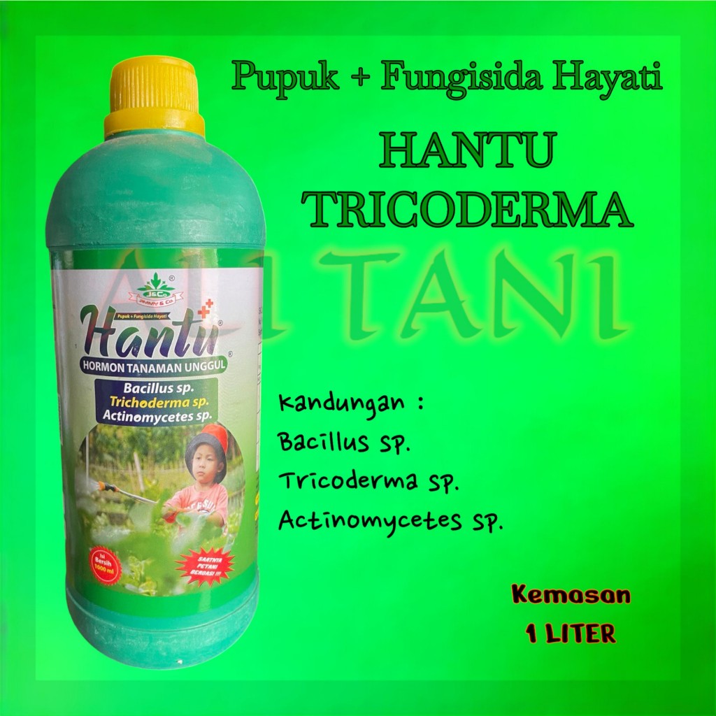 POC HANTU Tricoderma | POC HANTU IJO ROYO ROYO
