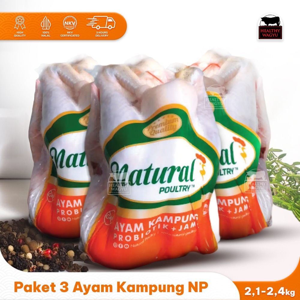 

Paket 3 Ayam Kampung Probiotik Natural Poultry Healthy Wagyu