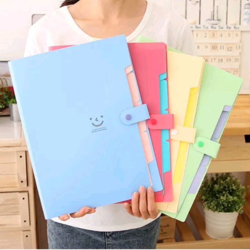

Expanding File Organizer A4 5 Sekat