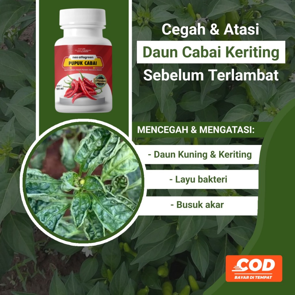 Pupuk Nutrisi Cabe Organik Pupuk Cabe Berbuah LebatBooster Anti Rontok Cabe Pupuk Cair Organik Cabai