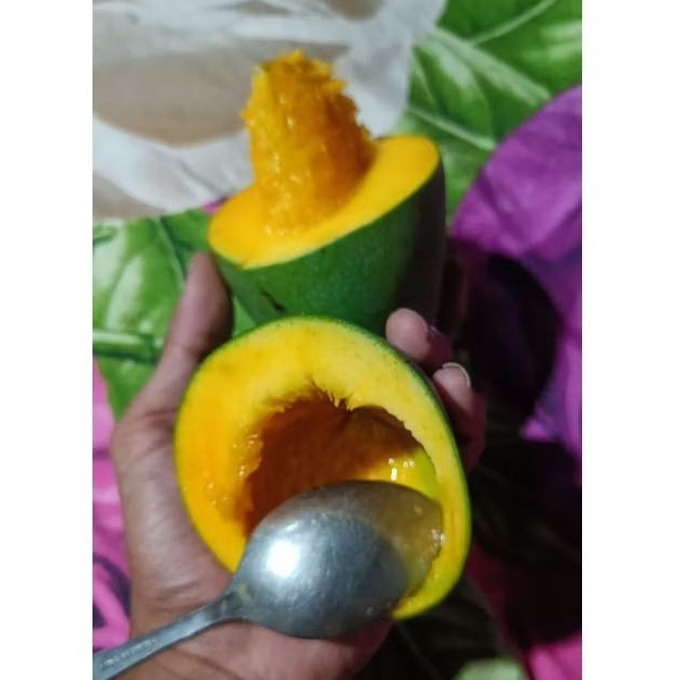 

MANGGA HARUM MANIS KEMBANG TUA POHON ORGANIK 1 KARDUS BERAT 5 KG ( Ukuran Jumbo ) Organik