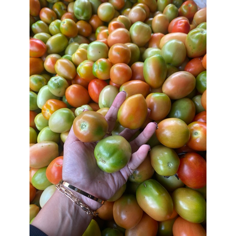 

tomat super kemasan 1kg