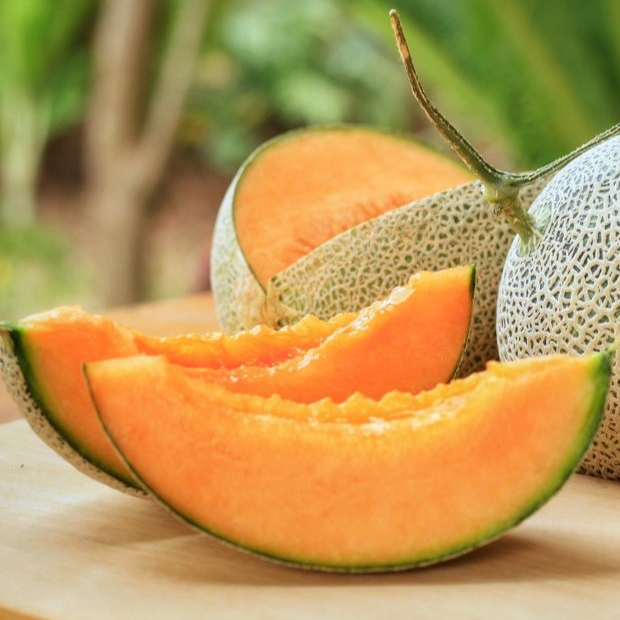 

Buah Melon Cantaloupe Jepang Manis Segar Fresh Buah Buahan Asli Kwalitas Super Harga Murah