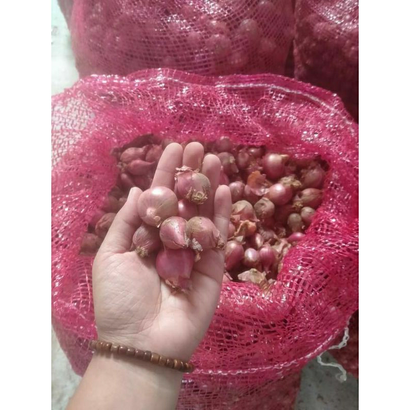 

Bawang merah