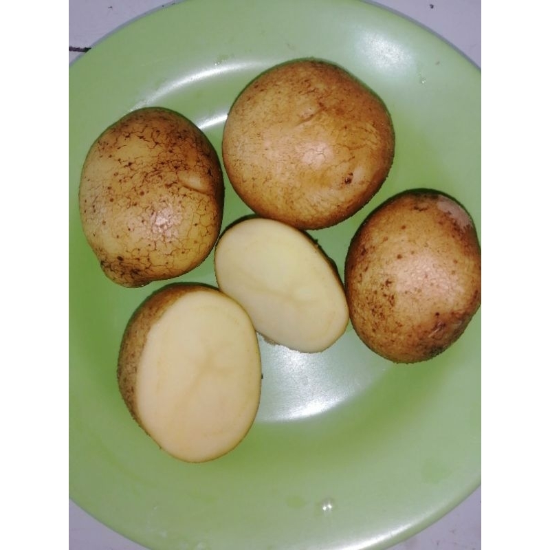 

kentang