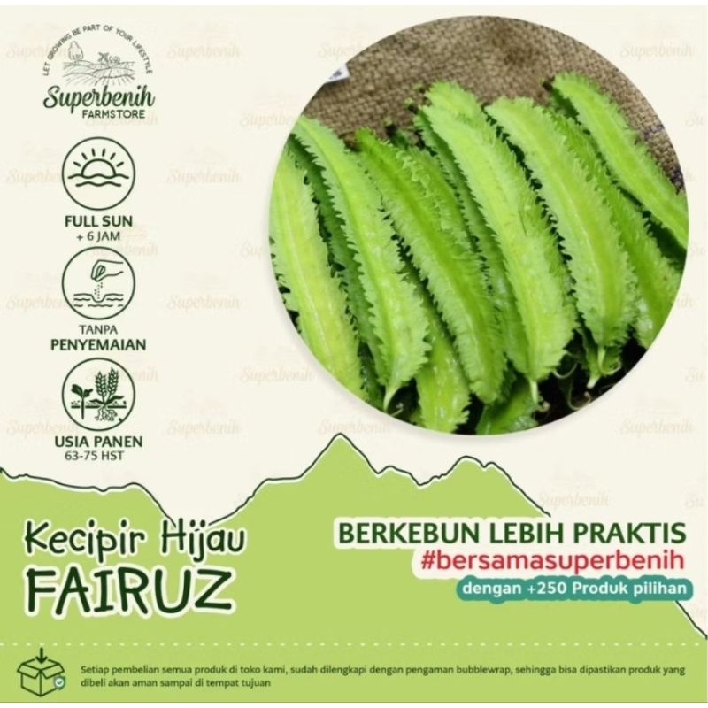 5 seeds Benih Bibit Biji Sayur Kecipir hijau FAIRUZ cocok di pekarangan