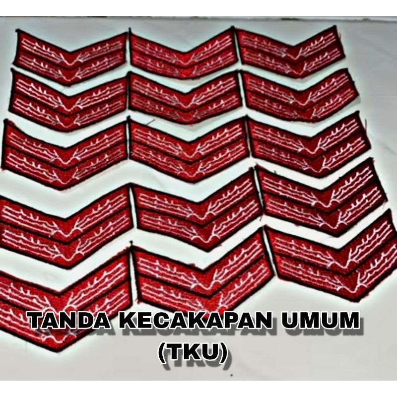 

Tanda Kecakapan Umum TKU Pramuka Penggalang Rakit