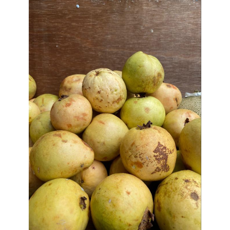 

Buah Jambu Biji Merah 1 Kg