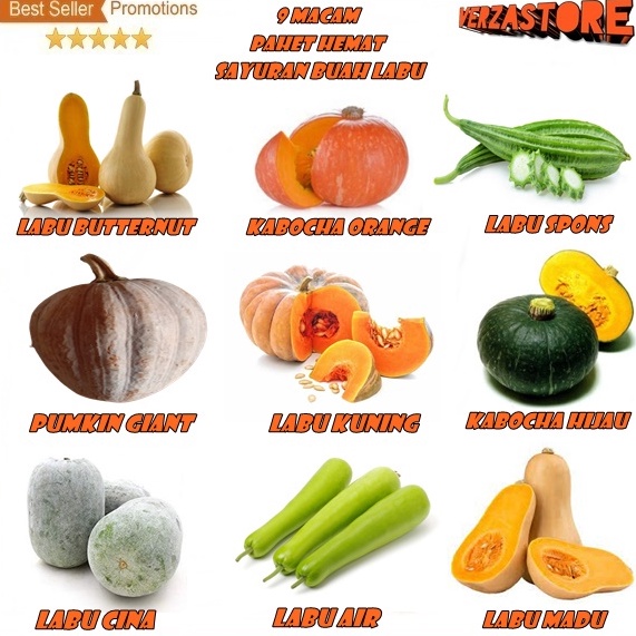 Murah Sekarang biji benih Paket Hemat 1 Macam Benih Sayuran buah labu kabocha labu butternut labu ma
