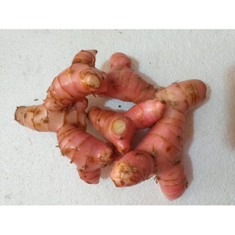 

Hanaki Bumbu masak Rempah Rempah Lengkuas Laja