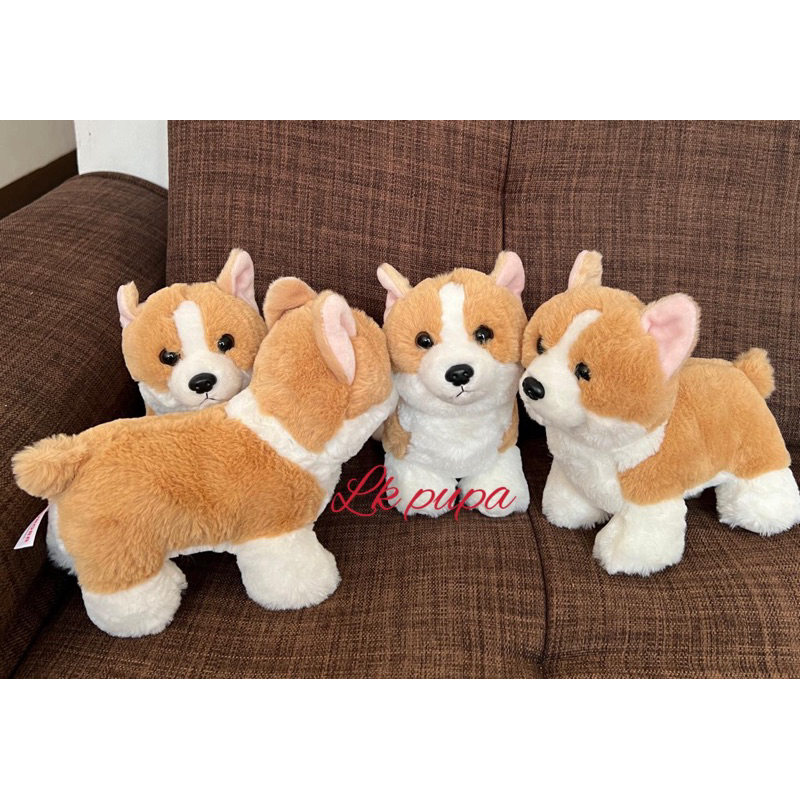 boneka corgi golden