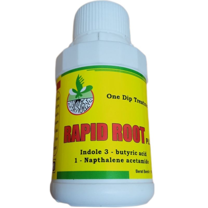 Rapid Root