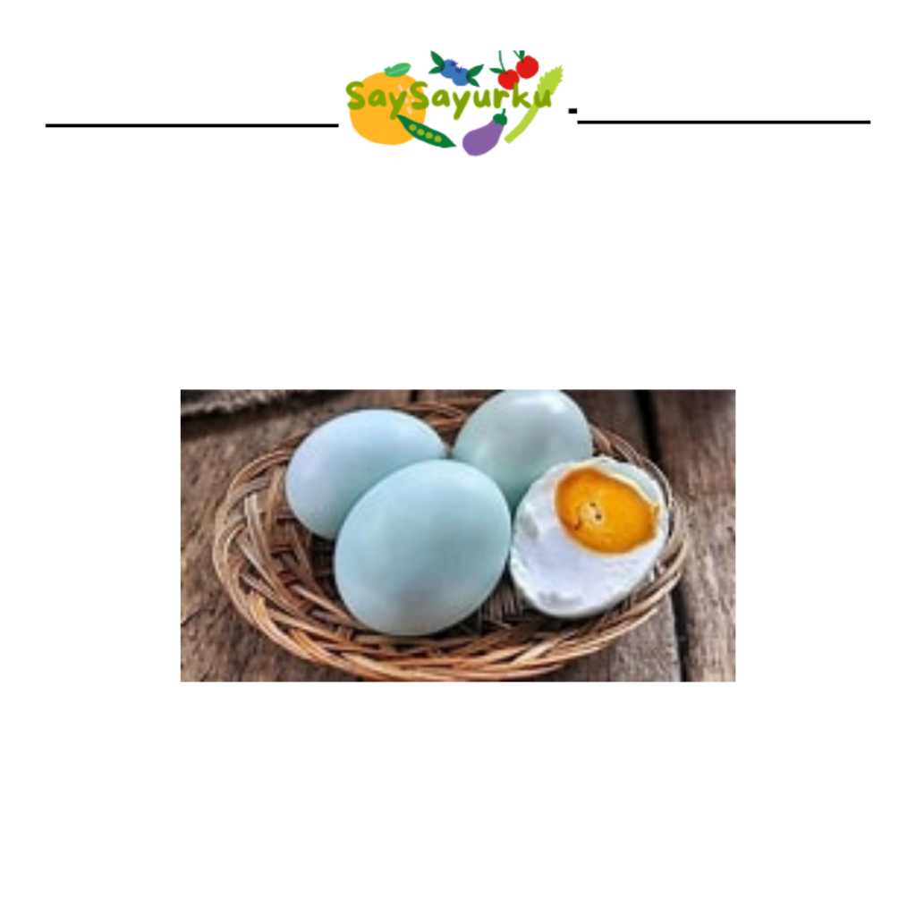 

TELUR BEBEK MENTAH BIJI