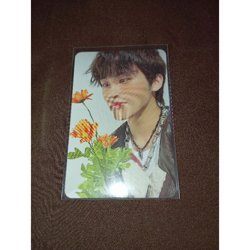 Mark smcu palace ver