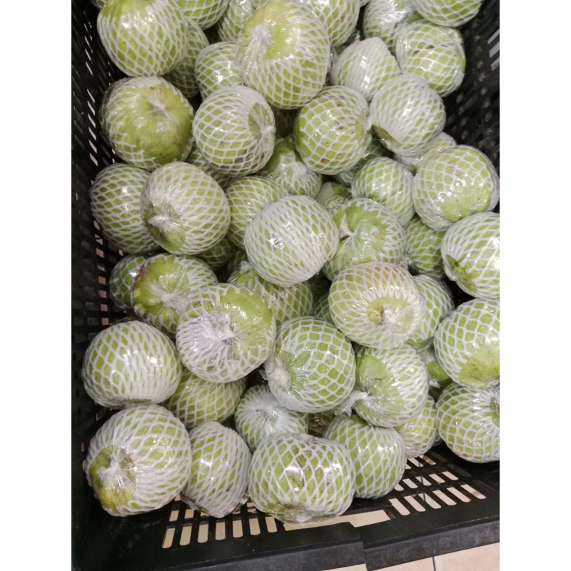 

Jambu Kristal 1kg