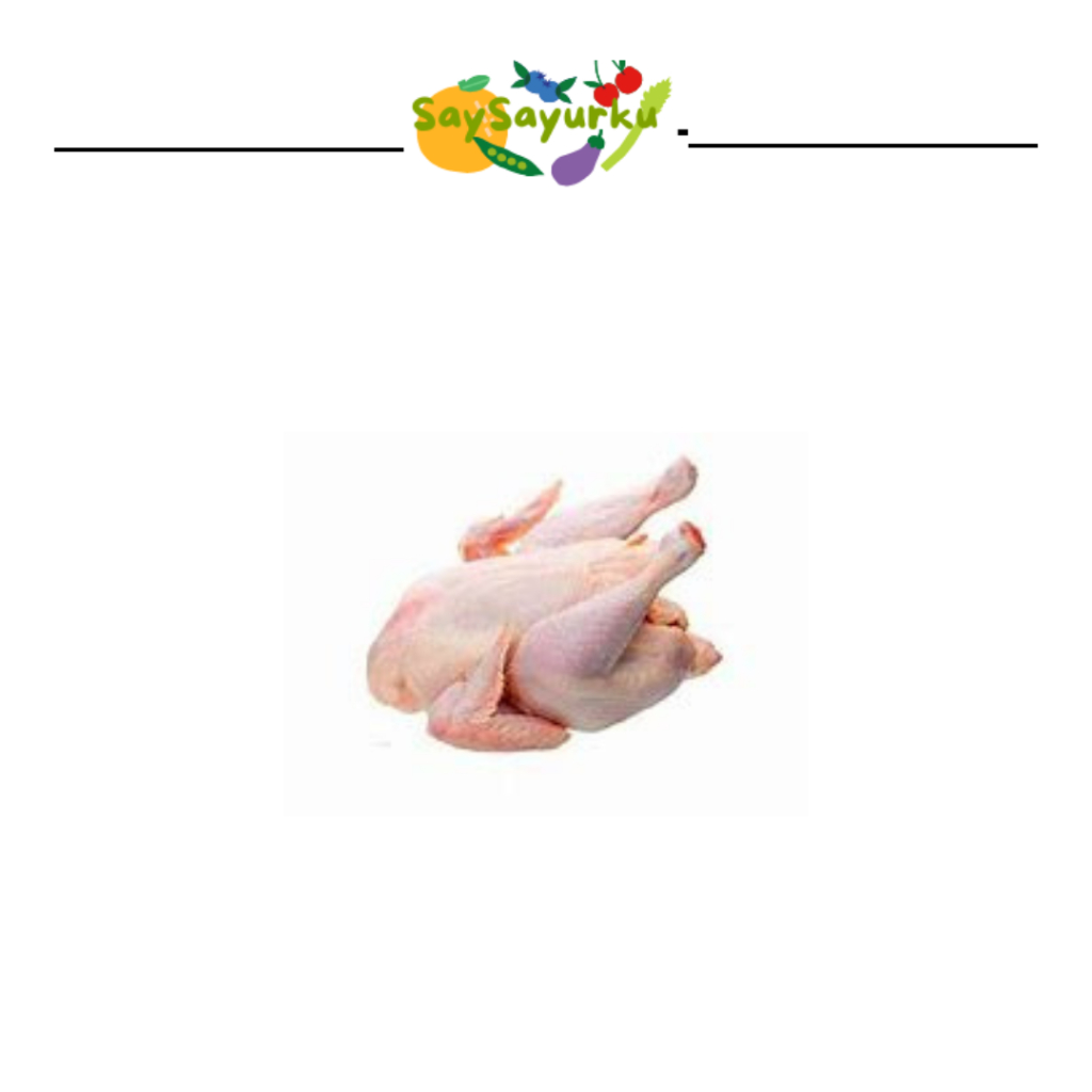 

AYAM KAMPUNG 1 EKOR
