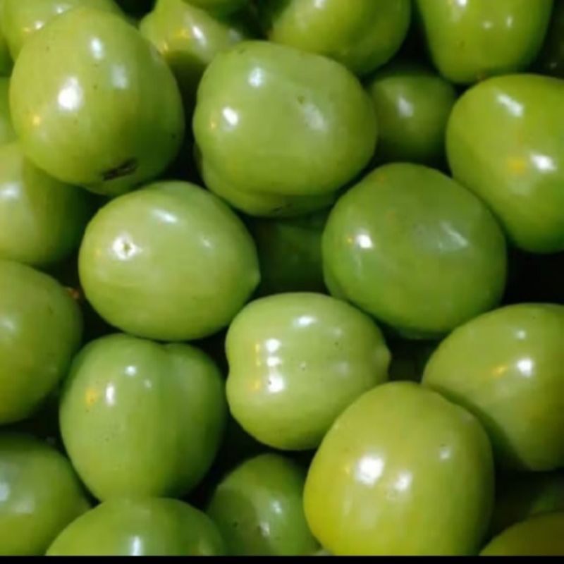 

Tomat Hijau Segar 1 Kg