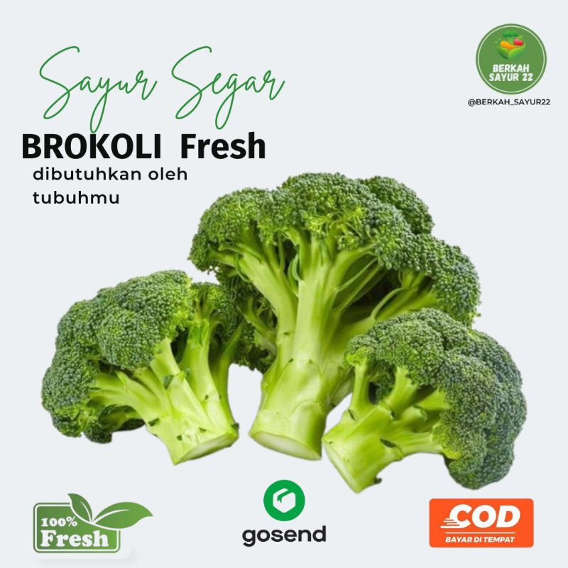 

BERKAH_SAYUR22 Brokoli Fresh