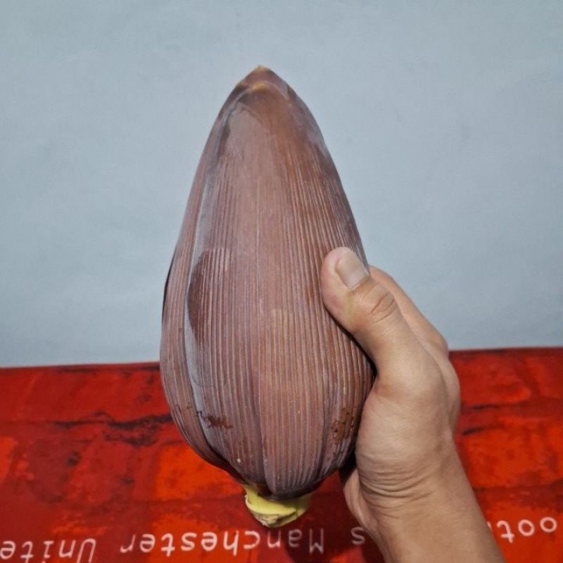 

JANTUNG PISANG SEGAR PER PCS