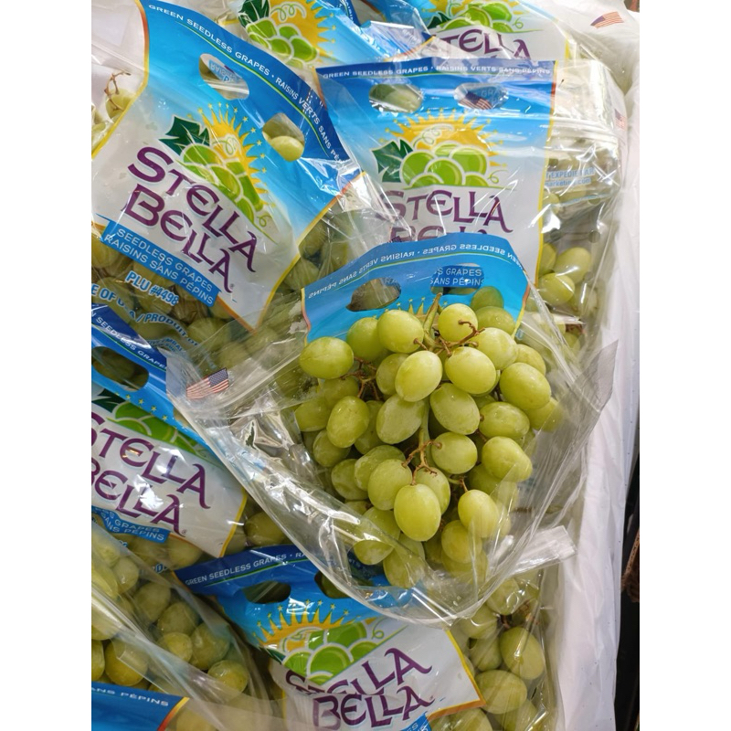 

anggur stella bella usa / anggur hijau