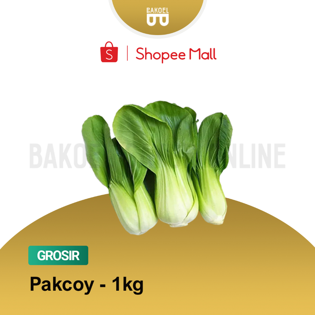 

Pakcoy Fresh - Grosir 1 Kg