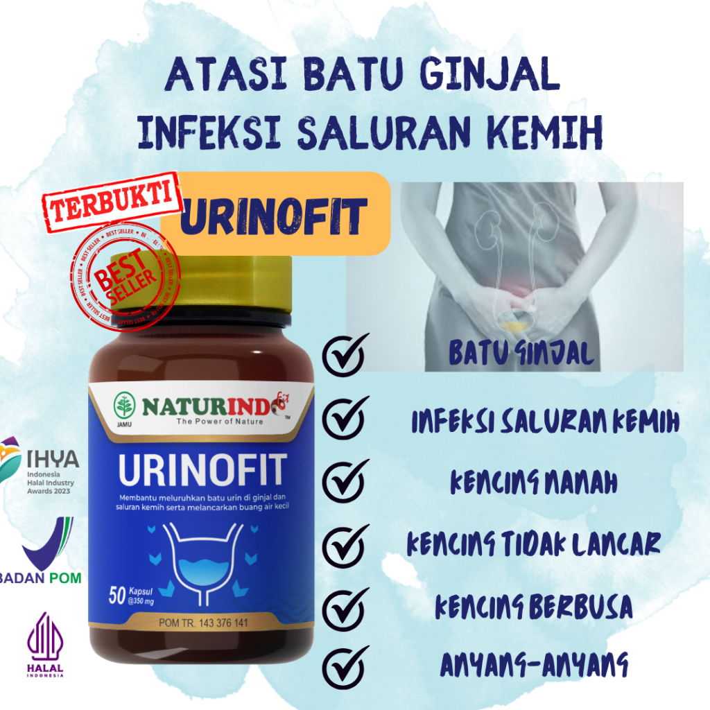 Obat kencing nanah ISK infeksi saluran kemih obat batu ginjal gagal ginjal kencing berbusa pelancar 