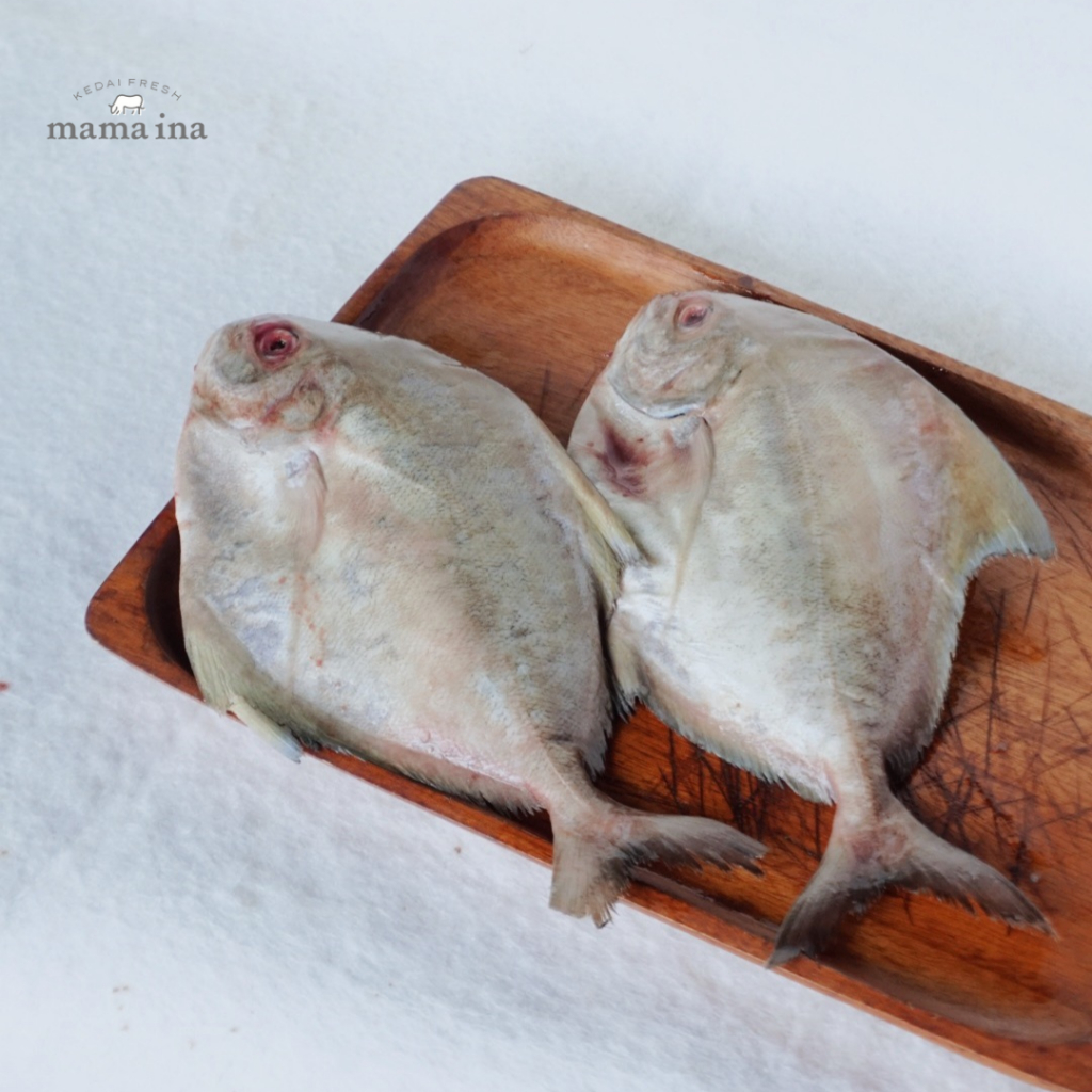 

Ikan Bawal Putih 500g